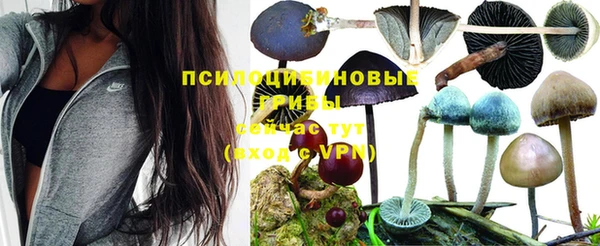 мяу мяу мука Балахна