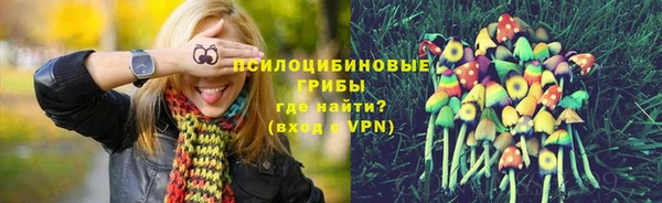 Альфа ПВП Баксан