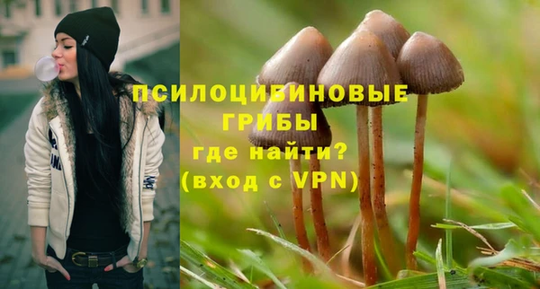 мяу мяу мука Балахна
